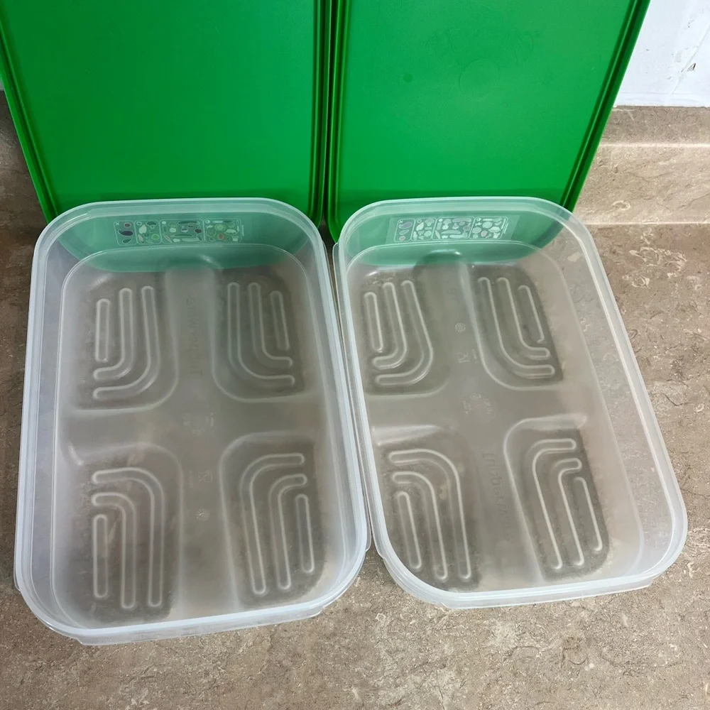 Tupperware Fridgesmart Medium
